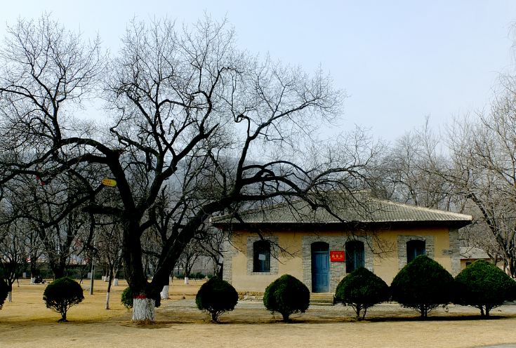 延安红色传统教育基地-枣园革命旧址参观