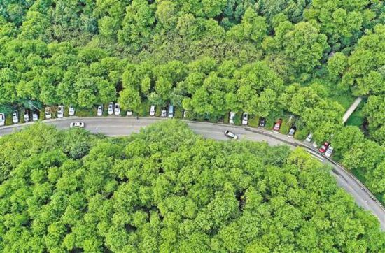 　“四山”完成森林抚育32万亩 “城市绿肺”更清新